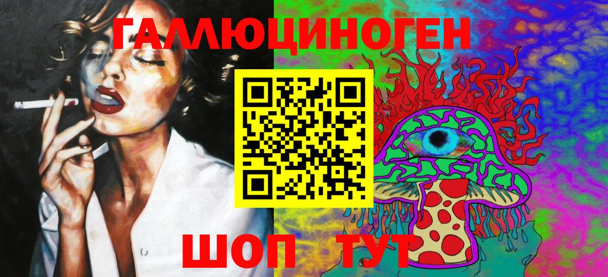 Химки  закладки  Вход с VPN  Псилоцибиновые грибы Psilocybine cubensis 